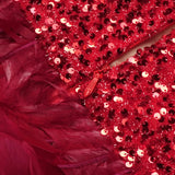 Vevesc Strapless Evening Gowns High Customized Red Sequined Beaded Colorful Feathers Tulle Sexy Party Dresses For Women